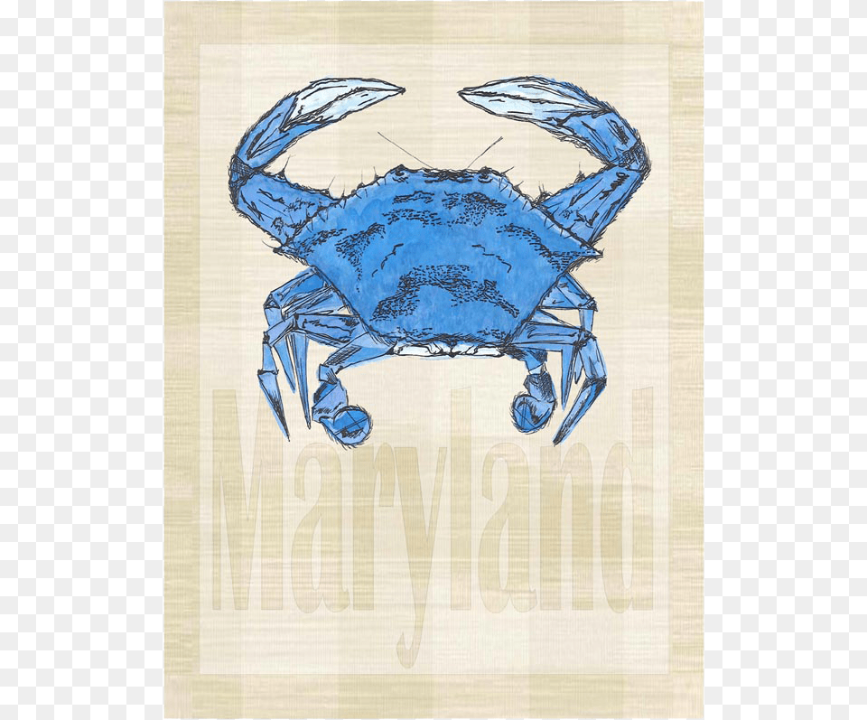 Blue Crab, Food, Seafood, Animal, Invertebrate Free Png