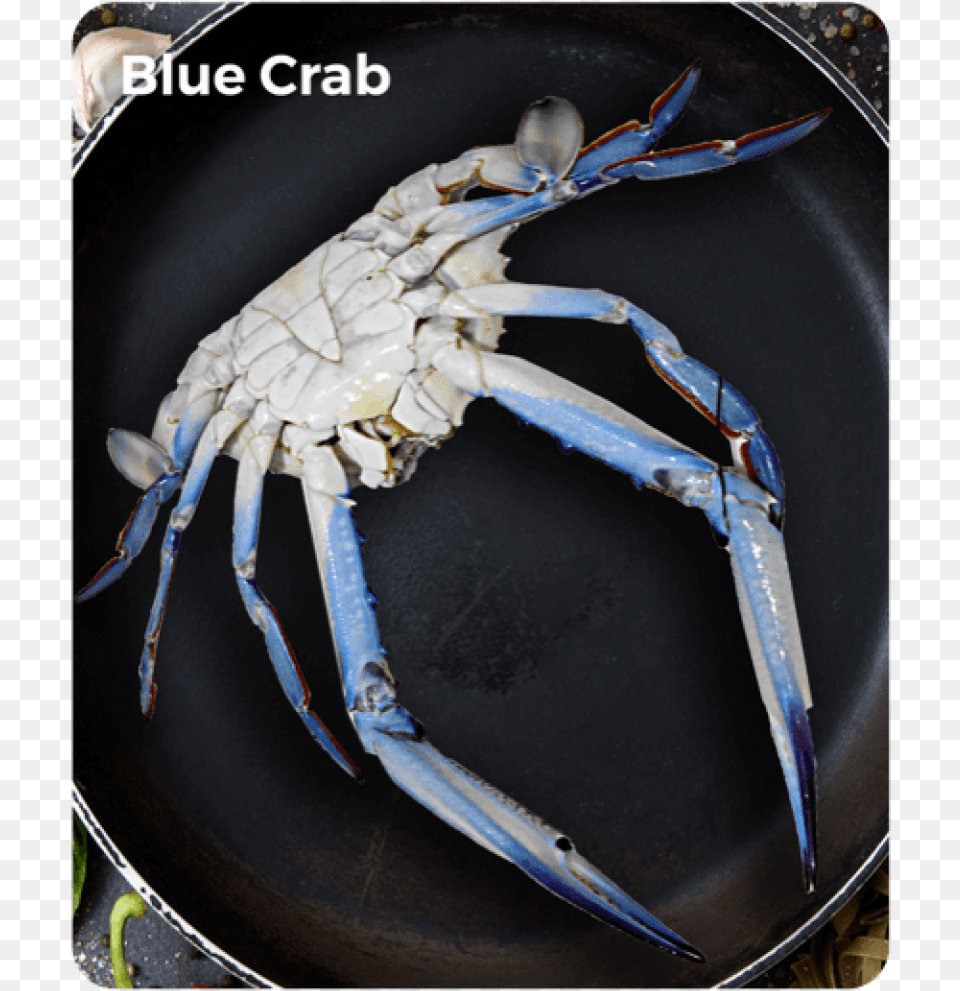 Blue Crab Chesapeake Blue Crab, Food, Seafood, Animal, Invertebrate Free Transparent Png