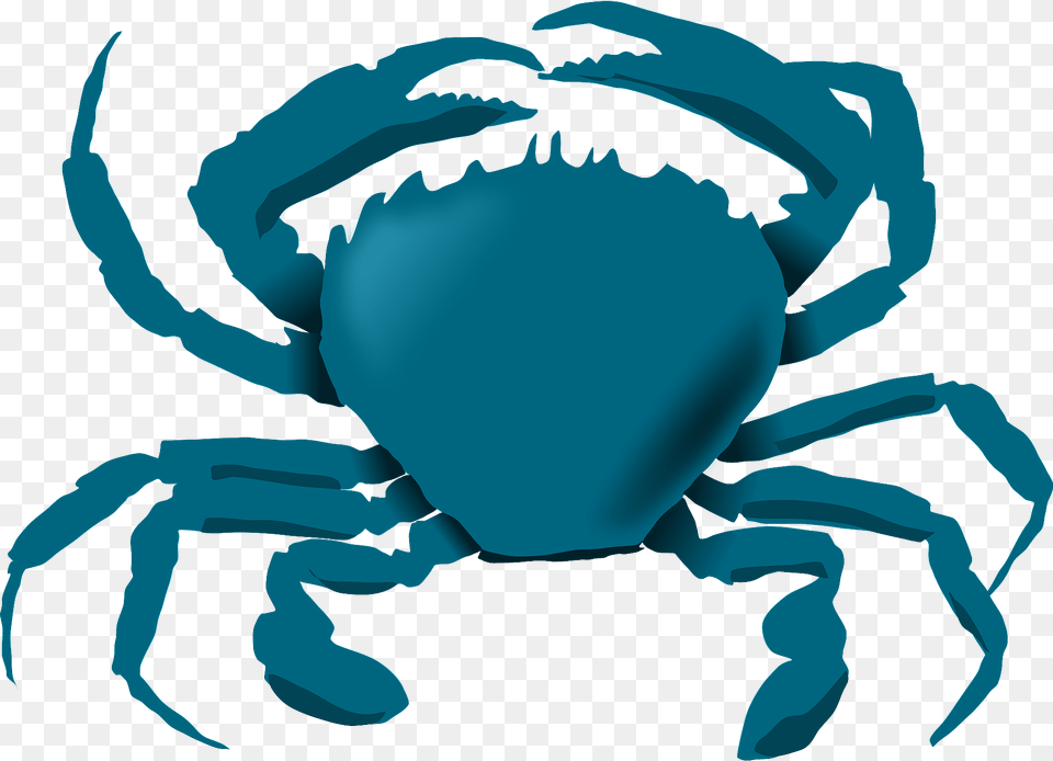 Blue Crab Clipart, Animal, Food, Invertebrate, Sea Life Png