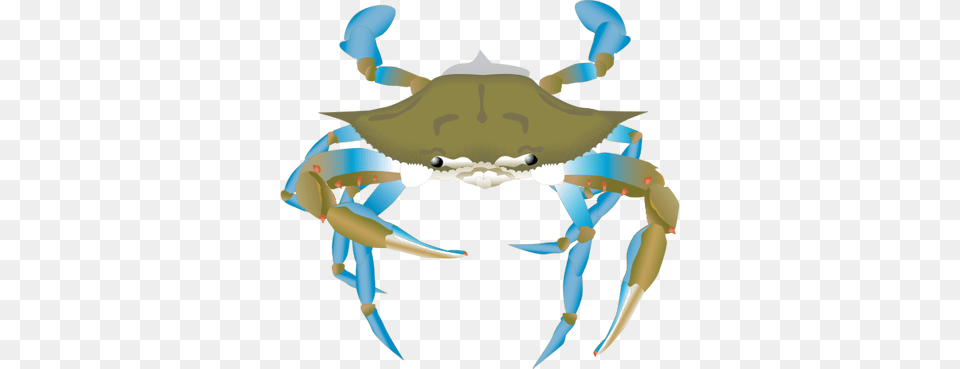 Blue Crab Drawing, Animal, Food, Invertebrate, Sea Life Png