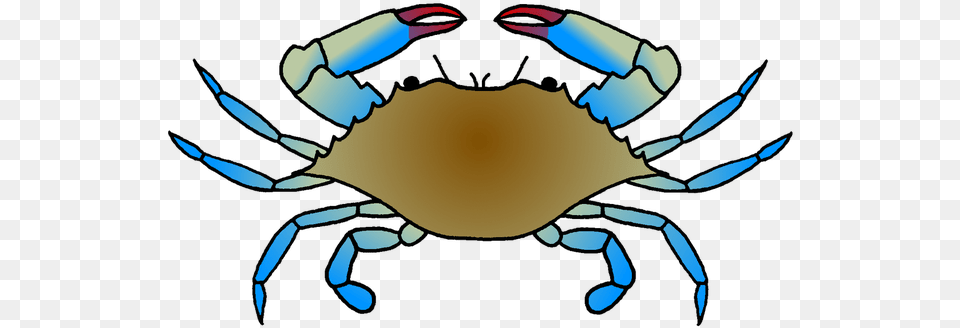 Blue Crab Galleries Panda Images Blue Crab Drawing Easy, Food, Seafood, Animal, Invertebrate Free Transparent Png