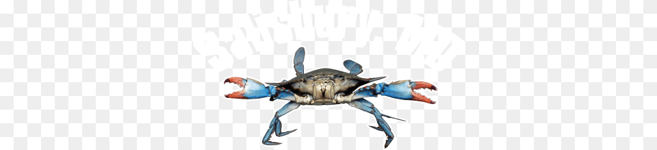 Blue Crab Image, Food, Seafood, Animal, Invertebrate Free Transparent Png