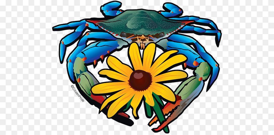 Blue Crab Maryland Black Eyed Susan T Shirt For Sale, Food, Seafood, Animal, Invertebrate Png
