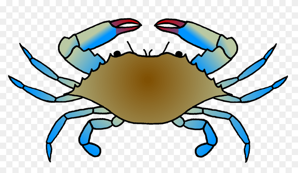 Blue Crab Range Expansion, Animal, Sea Life, Invertebrate, Food Free Png