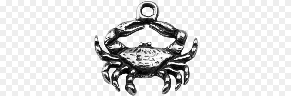 Blue Crab Rock Crab, Food, Seafood, Animal, Invertebrate Free Transparent Png