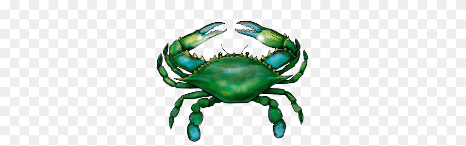 Blue Crab Seafood Products Buy Fresh From Florida Consumer, Animal, Food, Invertebrate, Sea Life Png