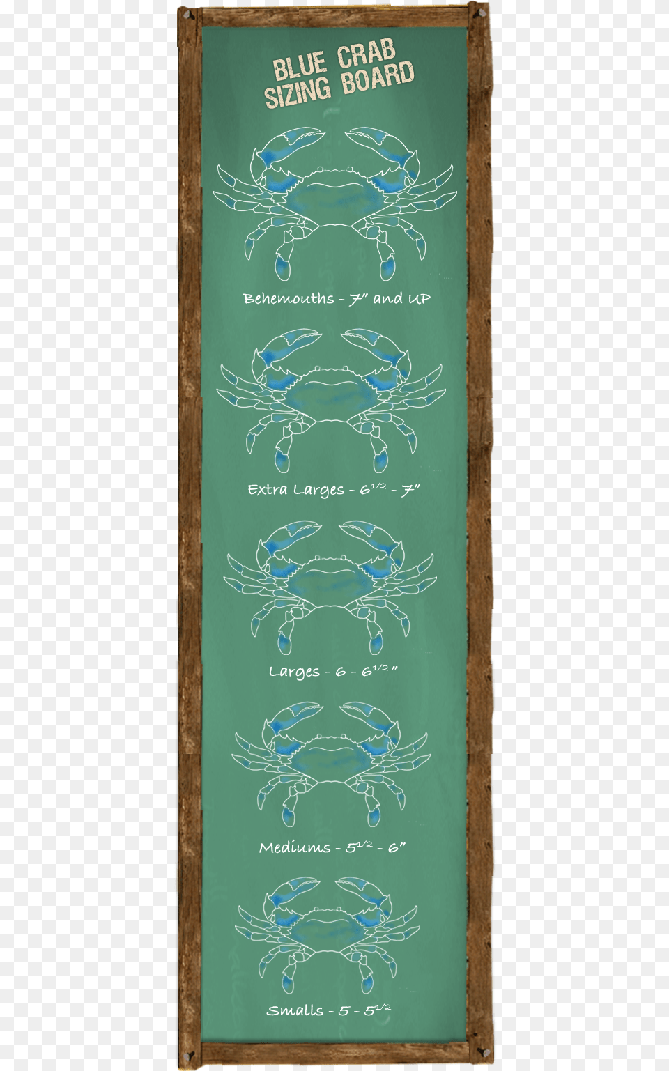 Blue Crab Sizing Board Crab Sizes Number, Blackboard, Text Free Png Download