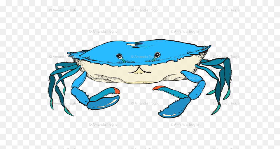 Blue Crab Wallpaper, Animal, Food, Invertebrate, Sea Life Free Png Download
