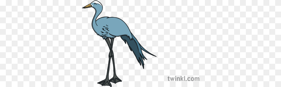Blue Crane Bird South Africa Word Mat English Ks1 Long, Animal, Crane Bird, Waterfowl Free Transparent Png
