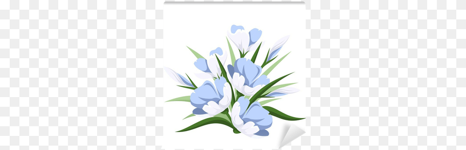 Blue Crocus Flowers Flores Blancas Vector, Art, Floral Design, Graphics, Pattern Free Transparent Png
