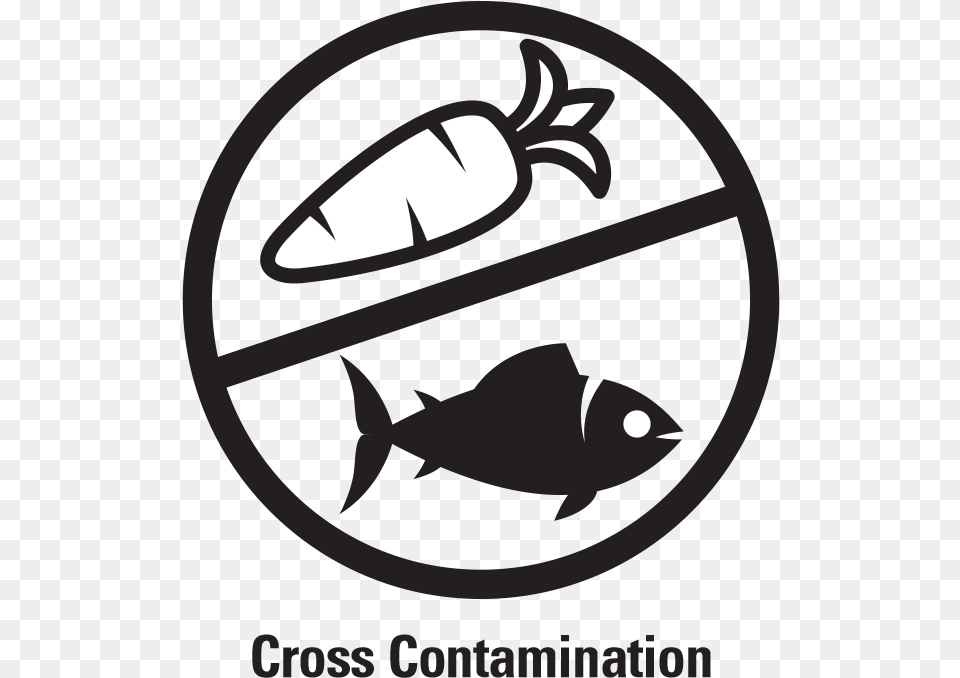 Blue Cross, Animal, Fish, Sea Life, Tuna Png