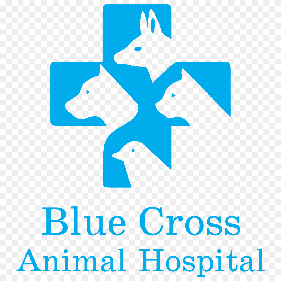 Blue Cross Animal Hospital Logo Vector, Symbol, Bird Free Transparent Png