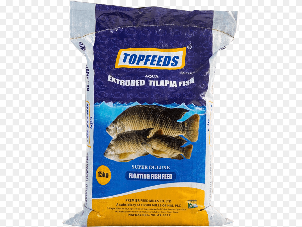 Blue Crown Fish Feed, Animal, Sea Life, Perch Png Image
