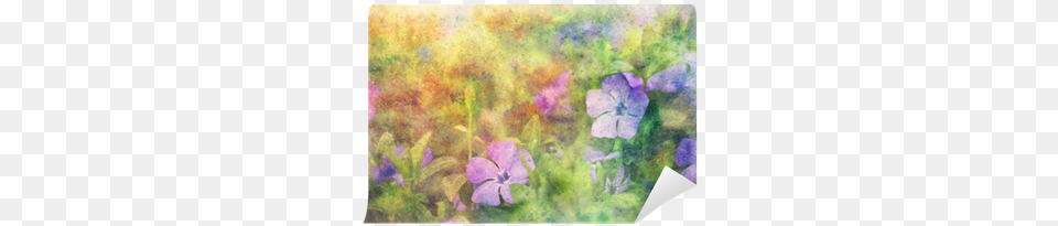 Blue Cute Flowers And Watercolor Smudges Wall Mural Watercolor Painting, Flower, Geranium, Petal, Plant Free Transparent Png