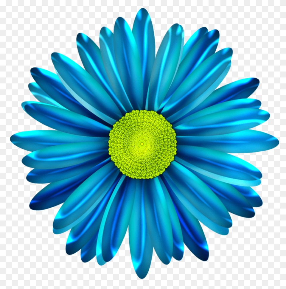 Blue Daisy Flower Transparent Blue Daisy Flower, Plant, Pattern, Anemone, Art Png Image