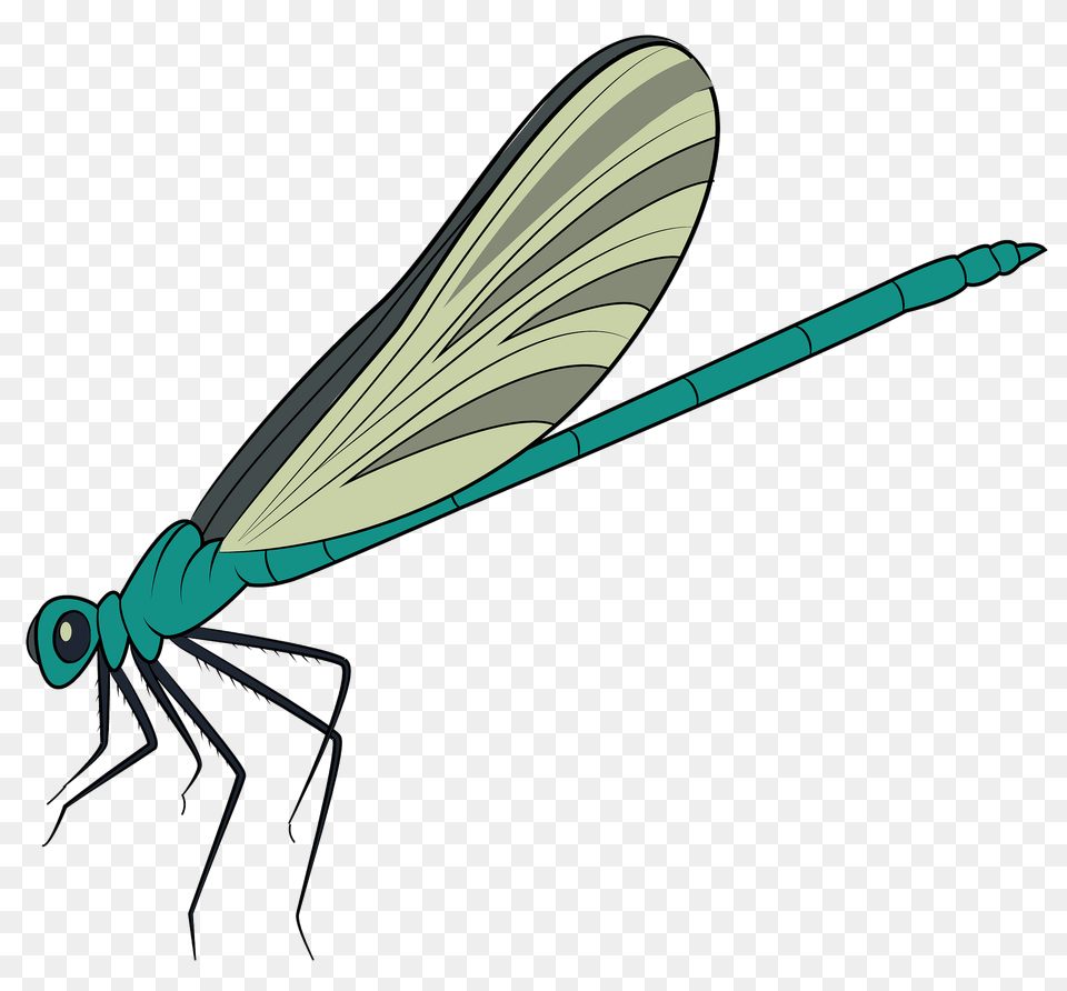 Blue Damselfly Clipart, Animal, Dragonfly, Insect, Invertebrate Png