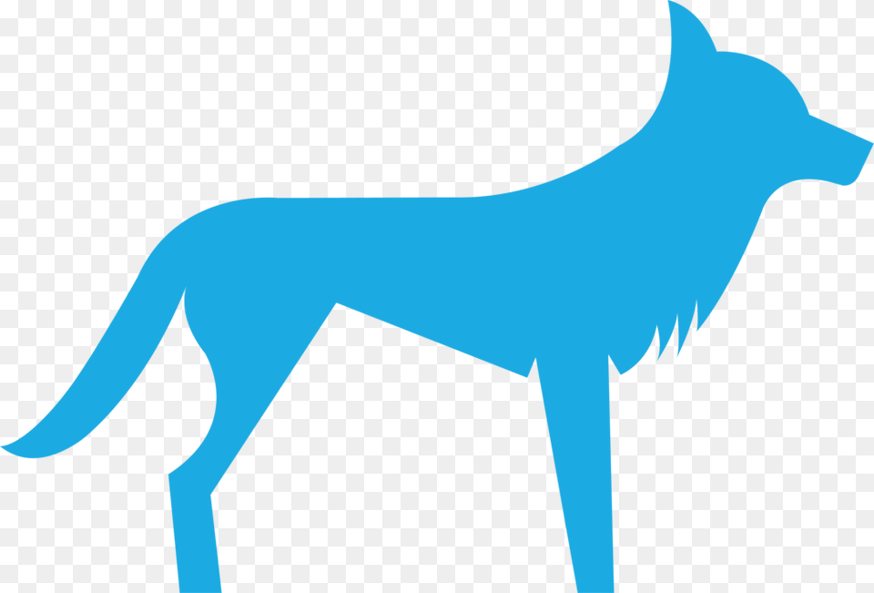 Blue Dingo Download Dog Catches Something, Animal, Coyote, Mammal, Person Png Image
