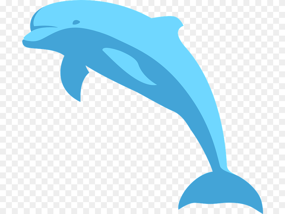 Blue Dolphin Blue Dolphin Clipart, Animal, Mammal, Sea Life, Person Png Image