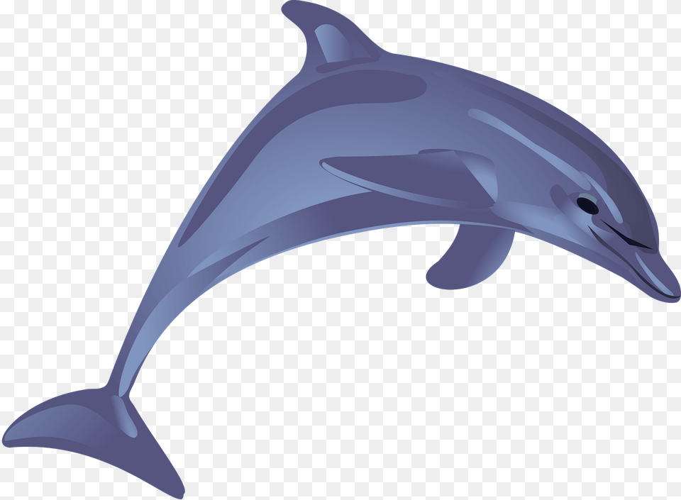 Blue Dolphin Clipart, Animal, Mammal, Sea Life, Fish Png