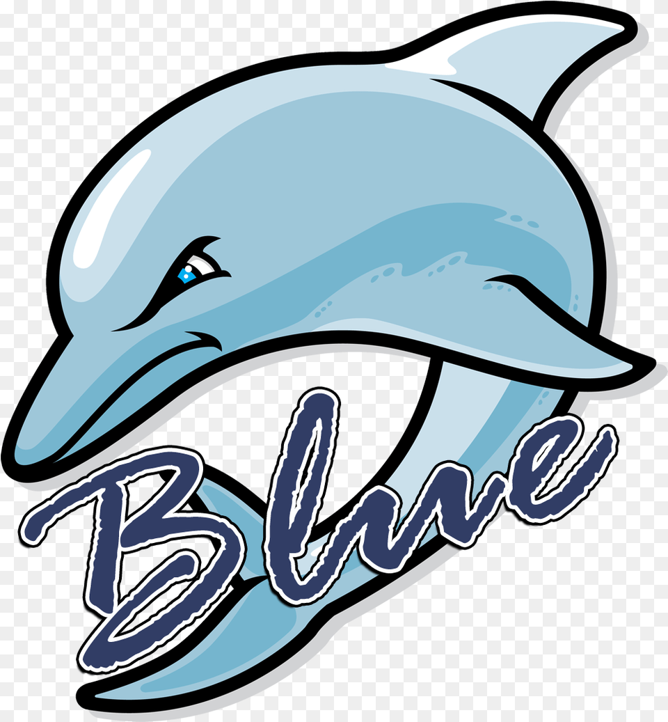 Blue Dolphins Logo Fort Myers Middle Academy, Animal, Dolphin, Mammal, Sea Life Png Image