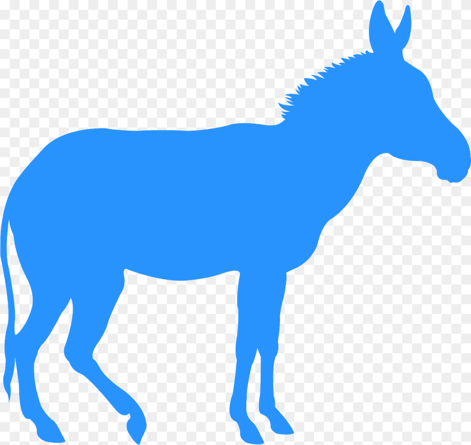 Blue Donkey Silhouette, Animal, Mammal, Horse Free Png