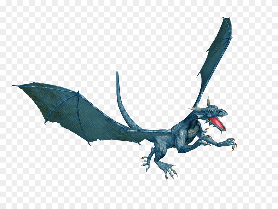 Blue Dragon, Accessories, Animal, Lizard, Reptile Free Transparent Png