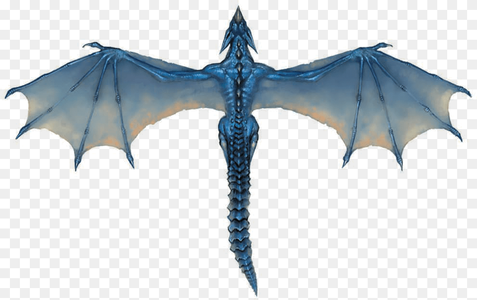 Blue Dragon 6 Image Blue Dragon Top View Png