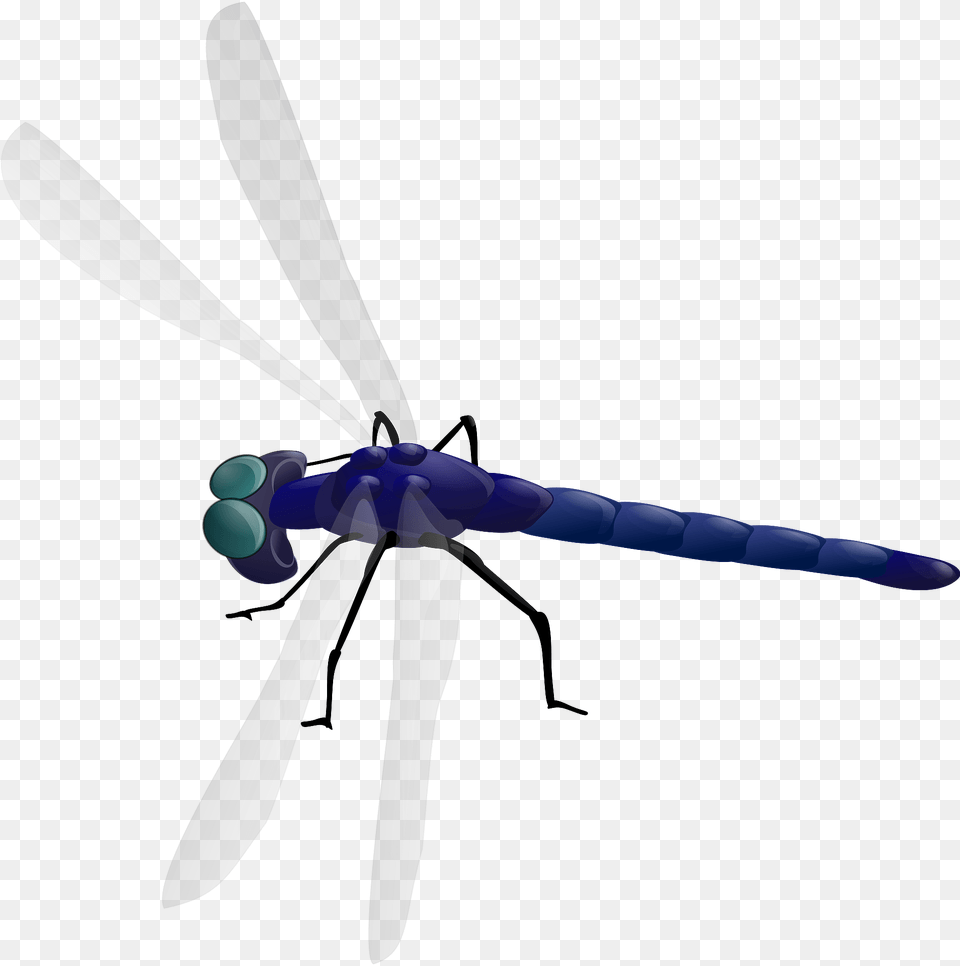 Blue Dragonfly Clipart, Animal, Insect, Invertebrate, Appliance Free Transparent Png