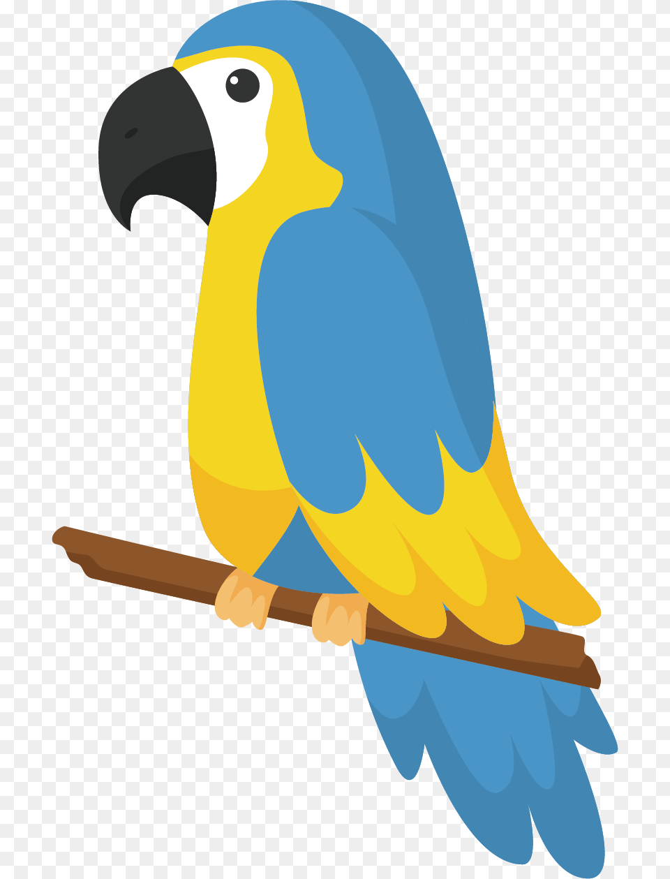 Blue Drawing Bird Parrot Drawing, Animal, Beak, Fish, Sea Life Png Image