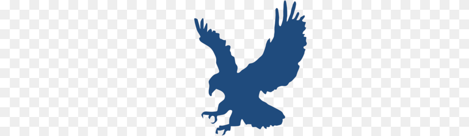 Blue Eagle Clip Art, Animal, Bird, Vulture, Baby Free Png