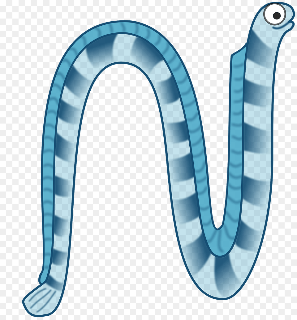 Blue Eel Clipart, Animal, Reptile, Sea Life, Sea Snake Free Png Download