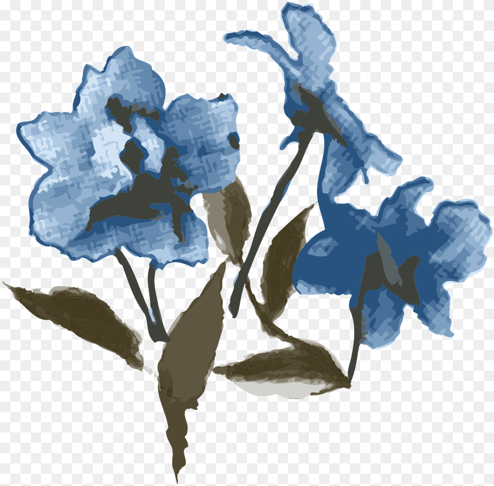 Blue Elegant Flower Cartoon Transparent Material Iris, Plant, Leaf, Ice, Petal Png Image