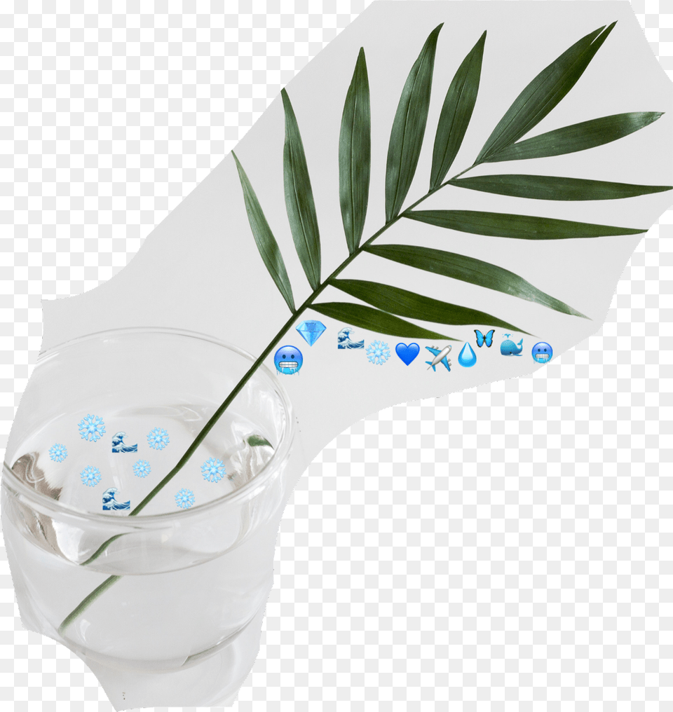 Blue Emoji Challenge Water Nature Plants Stayhydrated Green Palm Leaf, Pottery, Potted Plant, Plant, Jar Png Image