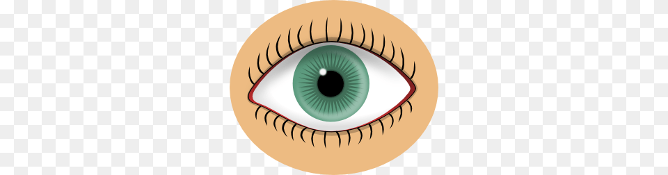 Blue Eye Clip Art, Contact Lens, Plate Free Transparent Png