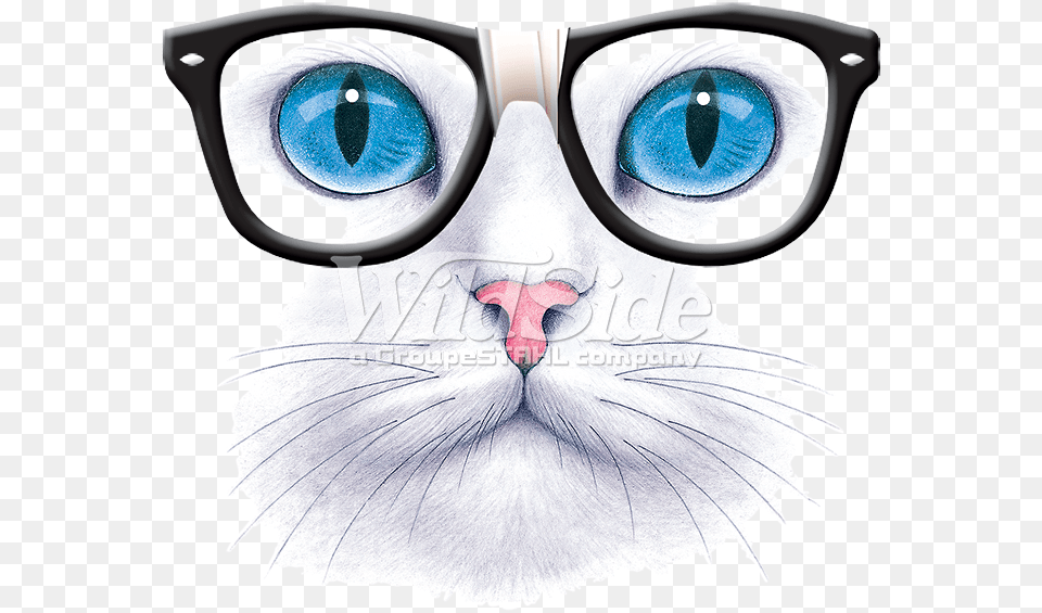 Blue Eyed Cat With Nerd Glasses Cat With Glasses Emoji, Accessories, Sunglasses, Person Free Png Download