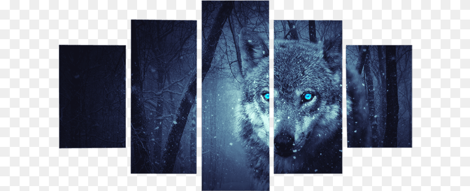 Blue Eyes Wolf In Forest Canvas Wall Artclass Wolf, Animal, Mammal, Canine, Dog Png Image