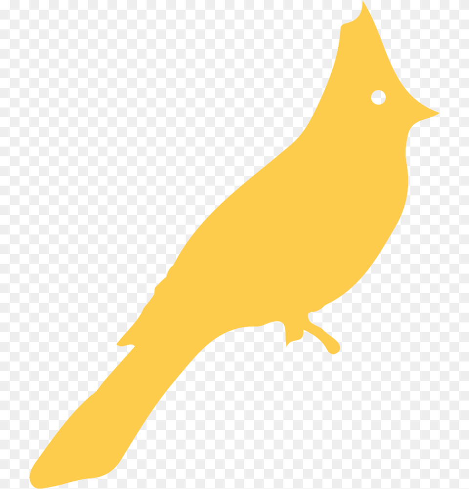 Blue Feather, Animal, Bird, Canary, Person Free Transparent Png