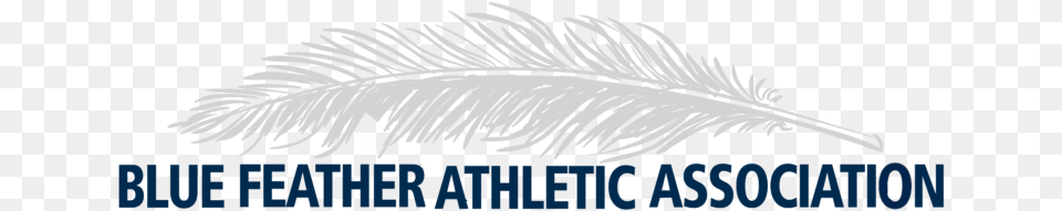 Blue Feather Athletic Association Burberry The Beat, Outdoors, Ice, Nature, Weather Free Png