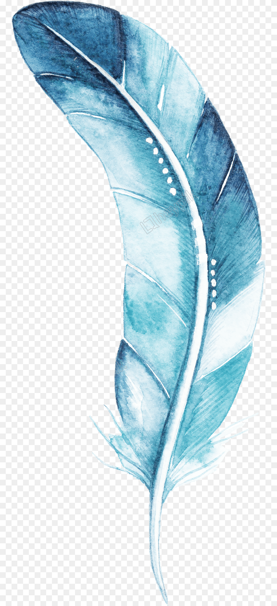 Blue Feather Cartoon Watercolor Beautiful Transparent Blue Watercolor Feather, Bottle, Person, Art Free Png Download