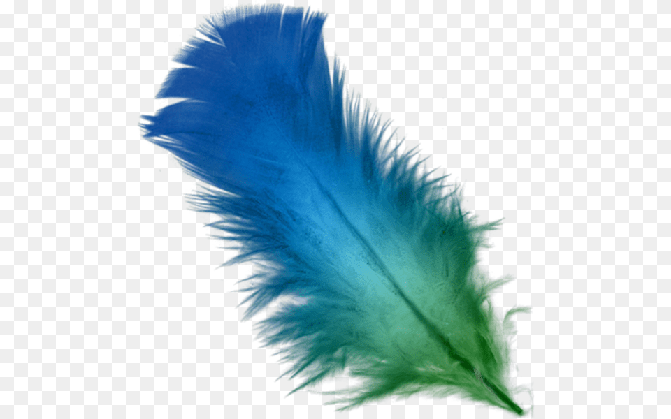 Blue Feather Clipart Feathers, Accessories, Leaf, Plant, Nature Free Png Download