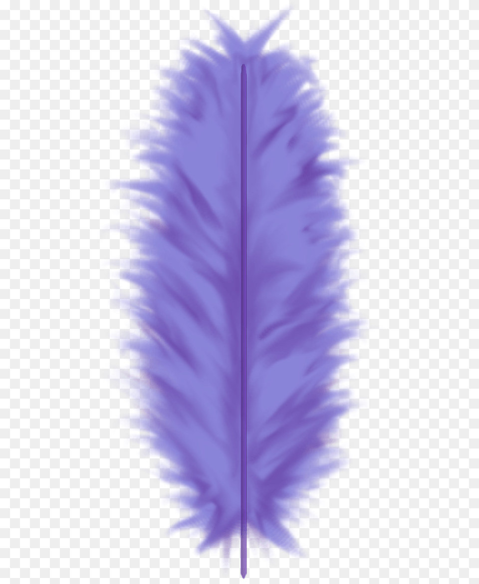Blue Feather Feather, Leaf, Plant, Purple, Bottle Free Png