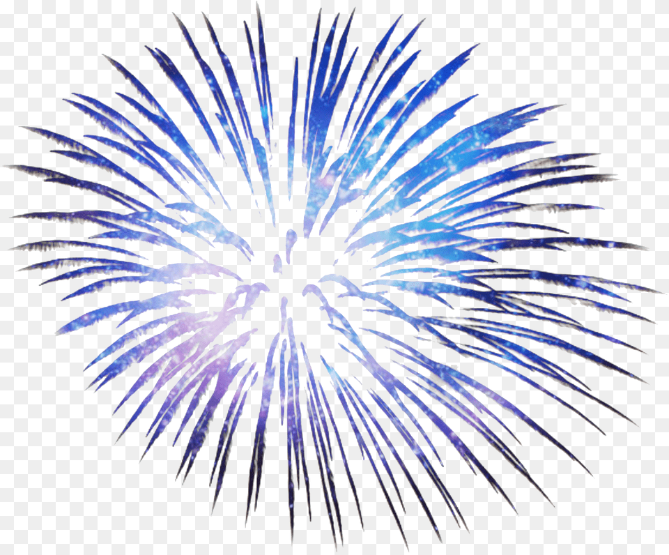 Blue Fireworks, Plant Png