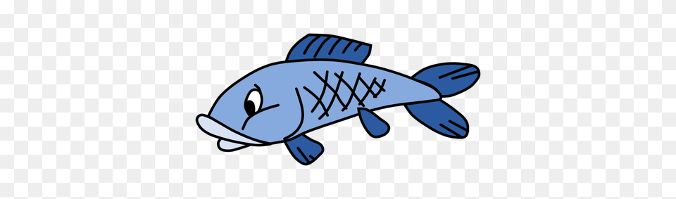 Blue Fish, Aquatic, Water, Animal, Sea Life Free Png Download