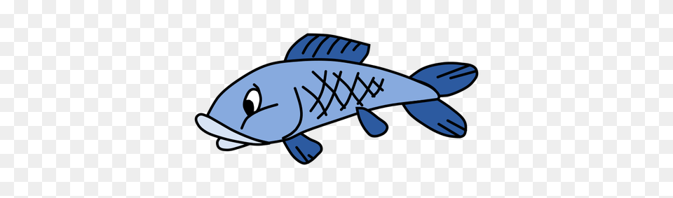 Blue Fish, Aquatic, Water, Animal, Sea Life Png Image