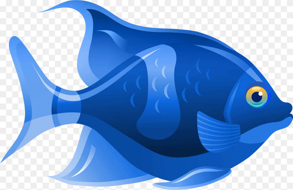 Blue Fish Clip Art Fish Clipart, Animal, Sea Life, Angelfish, Shark Free Png Download