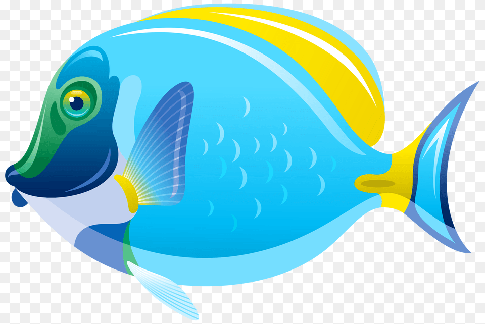 Blue Fish Clipart, Animal, Sea Life, Surgeonfish, Shark Free Png Download