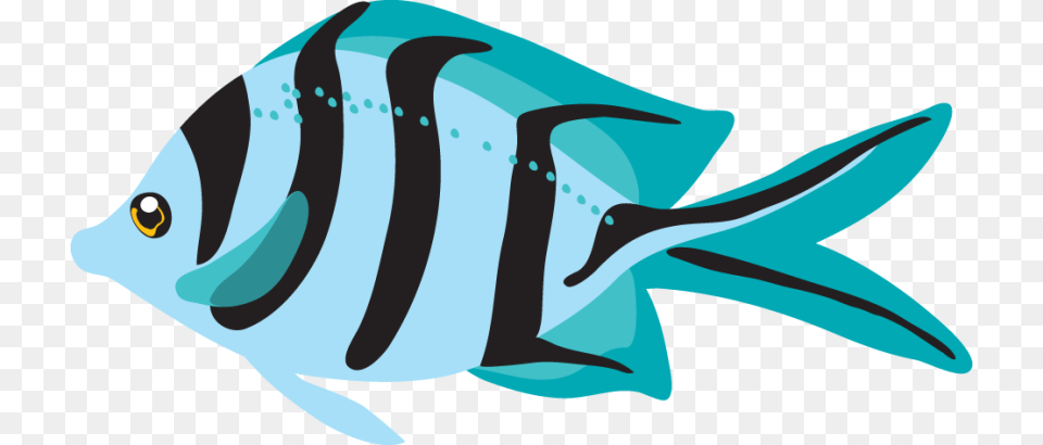 Blue Fish Clipart, Angelfish, Animal, Sea Life, Shark Png