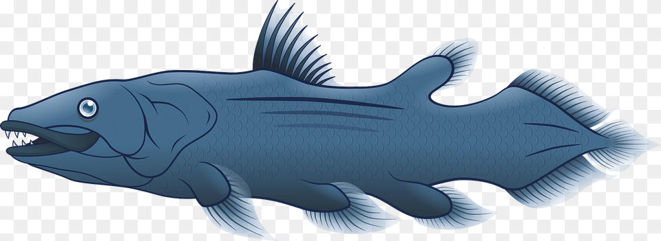 Blue Fish Clipart, Animal, Sea Life, Shark, Coho Free Transparent Png