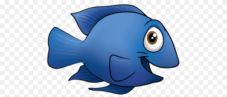 Blue Fish Clipart, Animal, Sea Life, Person Free Png