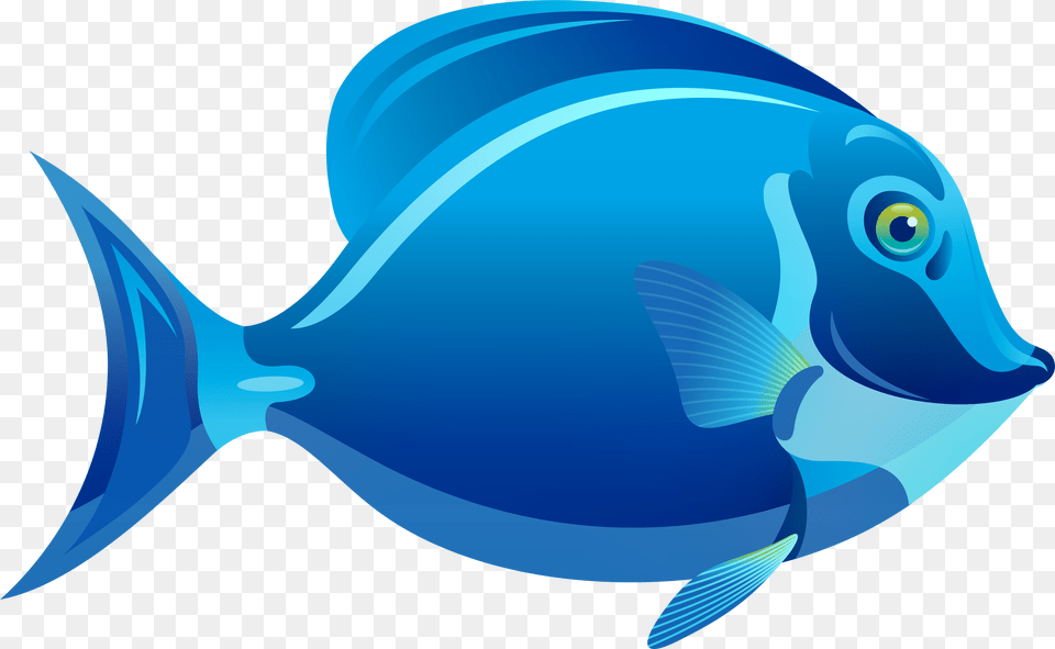 Blue Fish Clipart Blue Fish Clipart, Animal, Sea Life, Surgeonfish, Shark Free Transparent Png